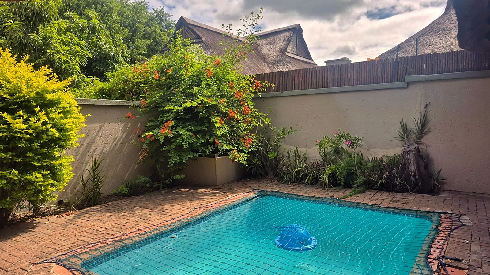 Pool, with a safety net